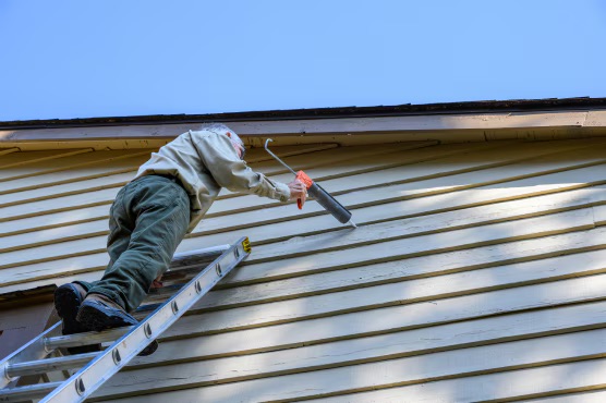 Handyman at work